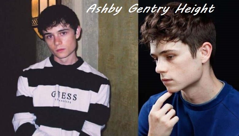 Ashby Gentry Height