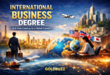 International Business Degree