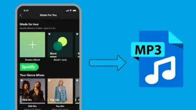 How to Convert Spotify to MP3 for Free Offline Playback