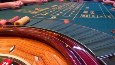 Why Springbok Casino Is One of South Africa's Most Trusted Online Casinos