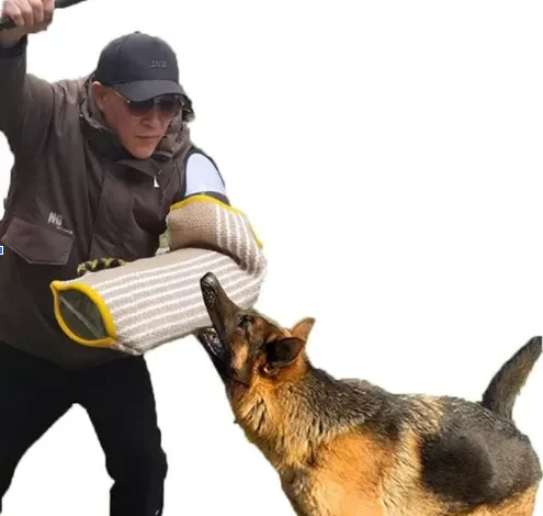 Dog Attack Children Lawyer Chicago: Protecting Young Victims and Their Families