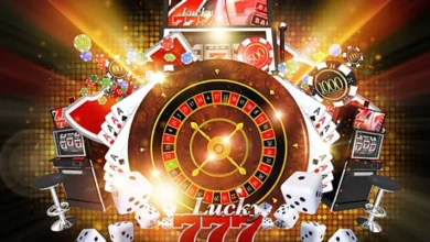 Super88 Platform Insights What You Need to Know