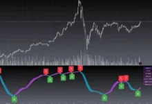 Understanding Blackcat Prices in the Digital Economy