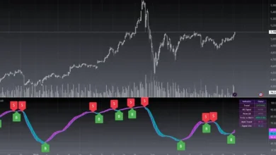 Understanding Blackcat Prices in the Digital Economy
