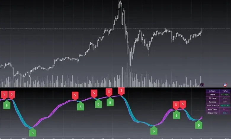 Understanding Blackcat Prices in the Digital Economy