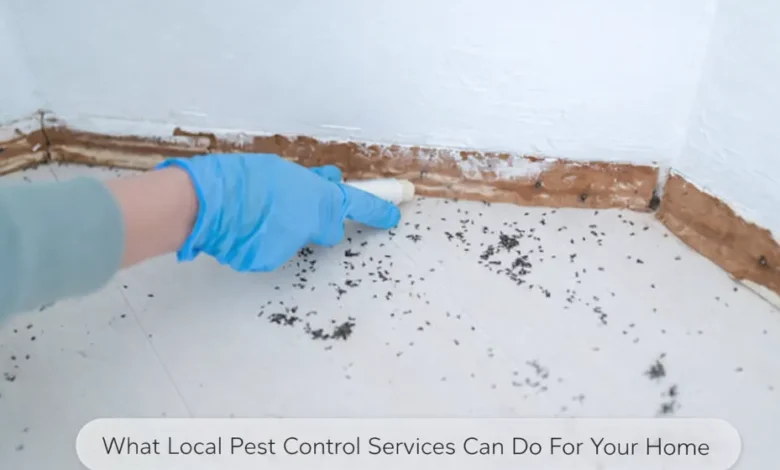 What Local Pest Control Services Can Do For Your Home