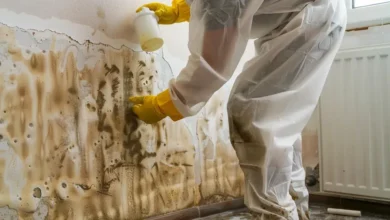 Who Is Responsible for Mold Damage A Legal Overview